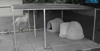 Dog Kennel Fences